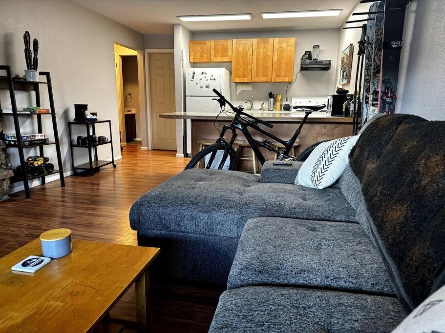 Cozy Condo In Winter Park - On Blue Bus Route - Walk To Downtown, Restaurants, Grocery Екстер'єр фото